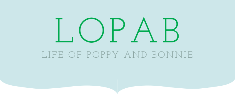 LoPaB LoPaB